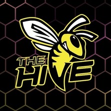 The Hive Trampoline Park and More