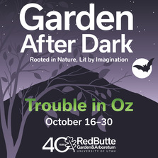 Garden After Dark at Red Butte Garden